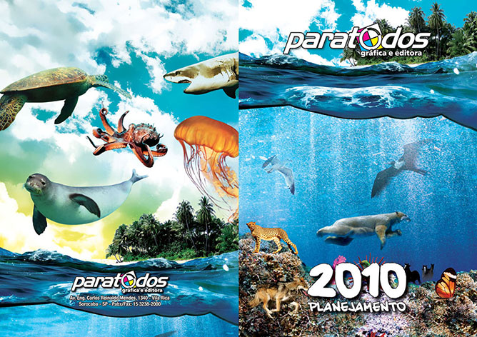 Agenda Gráfica Paratodos